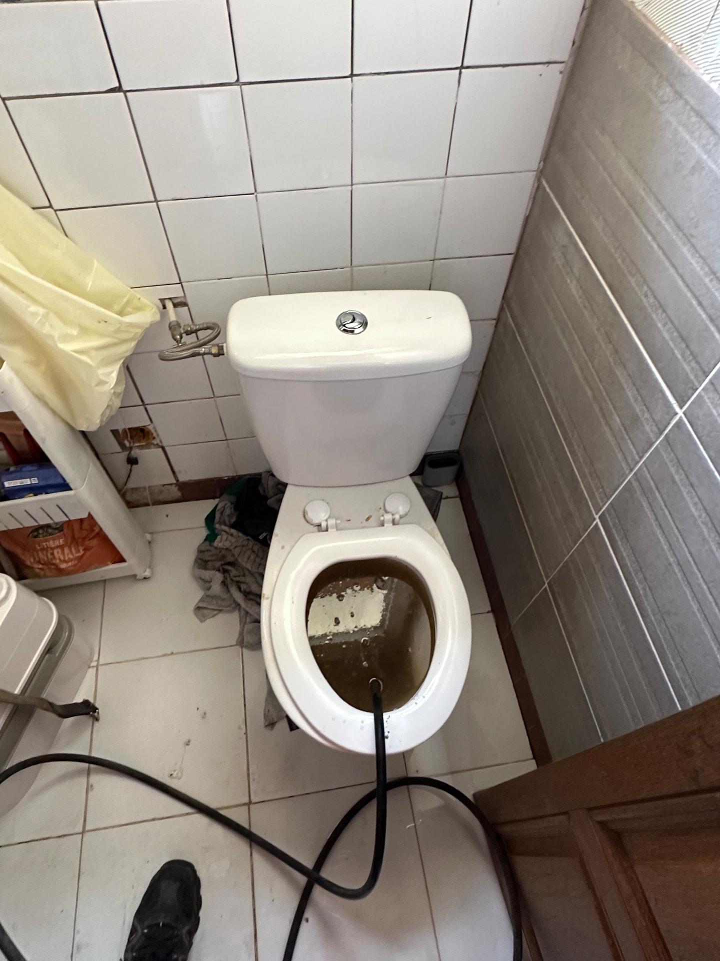 Furet haute pression engagé dans une cuvette de WC bouchée — Paris 19ᵉ