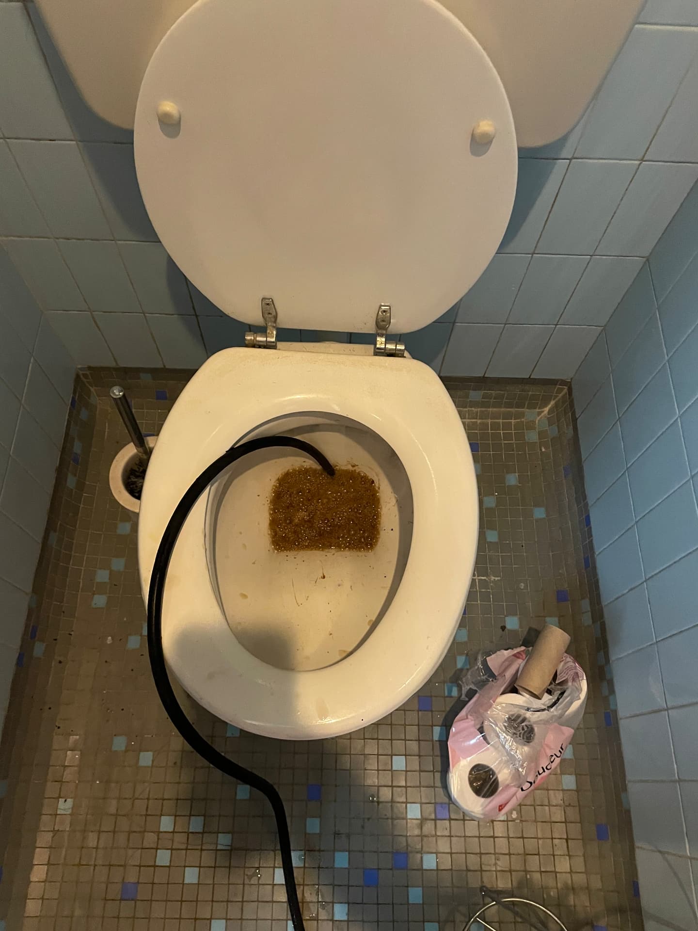 Débouchage de WC par furet flexible introduit dans la cuvette — Saint-Maur-des-Fossés