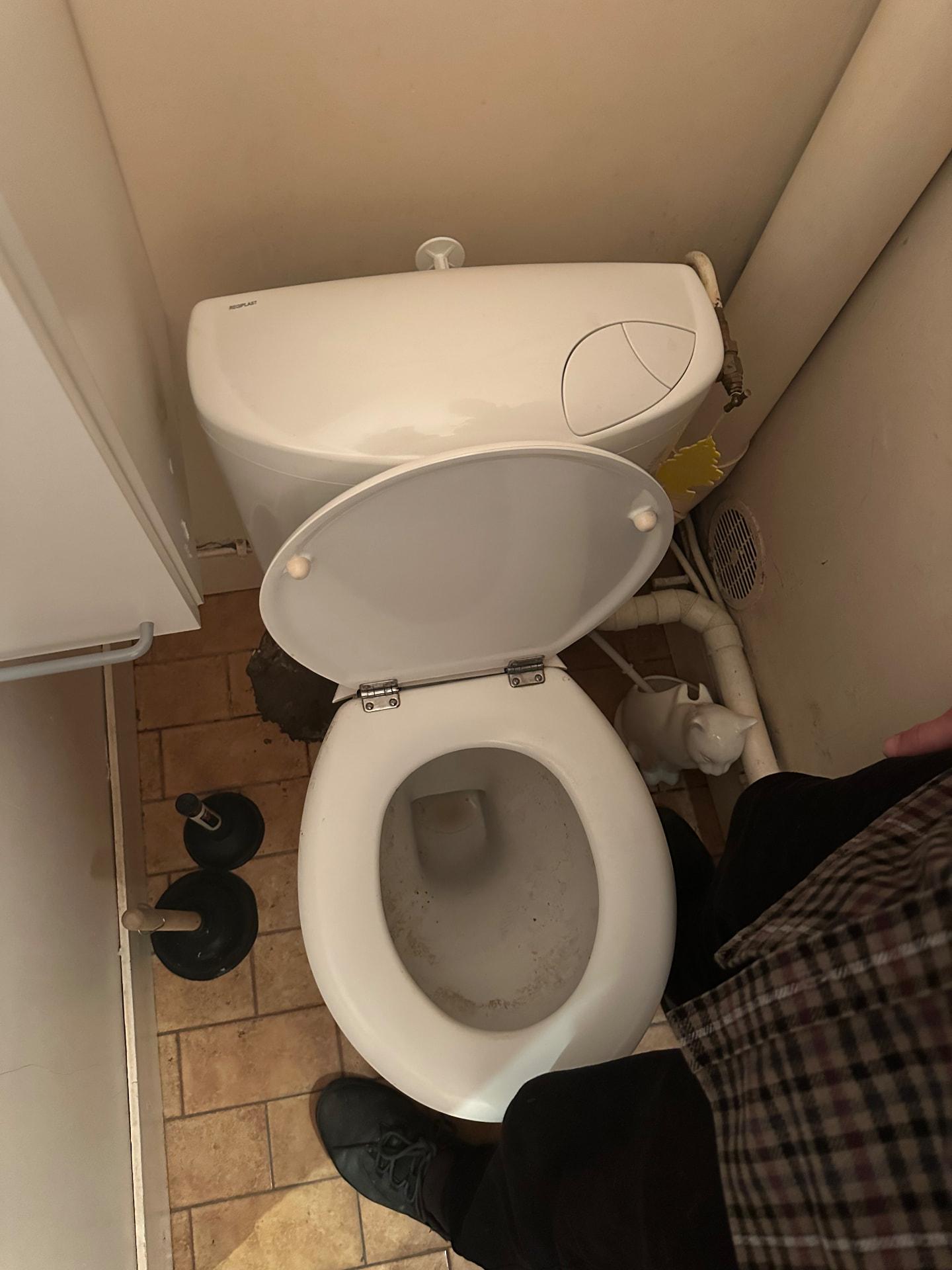 WC bouché avec ventouse au sol avant intervention professionnelle — Issy-les-Moulineaux