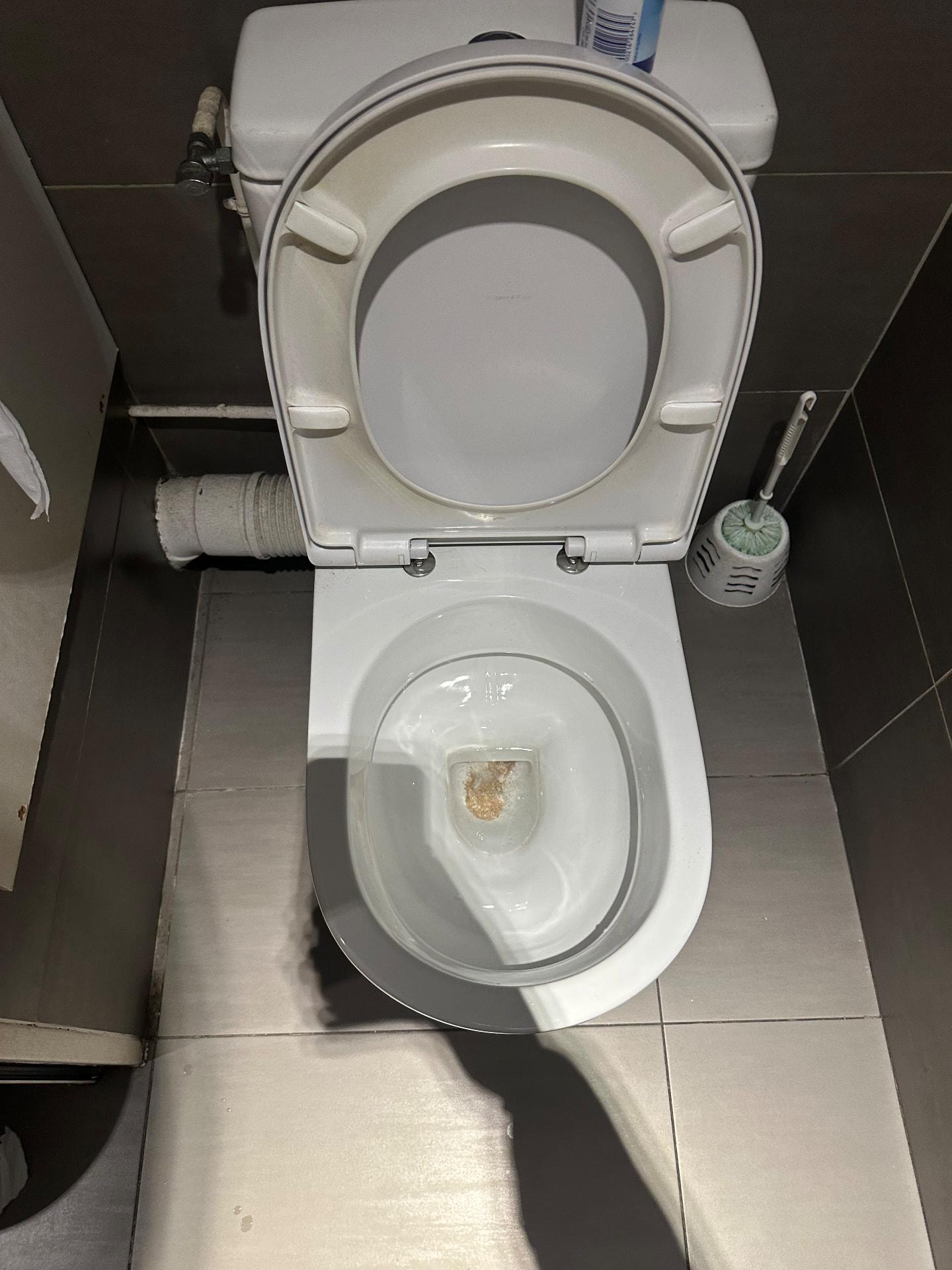 Cuvette de WC qui ne s'évacue plus dans des sanitaires carrelés — Nanterre