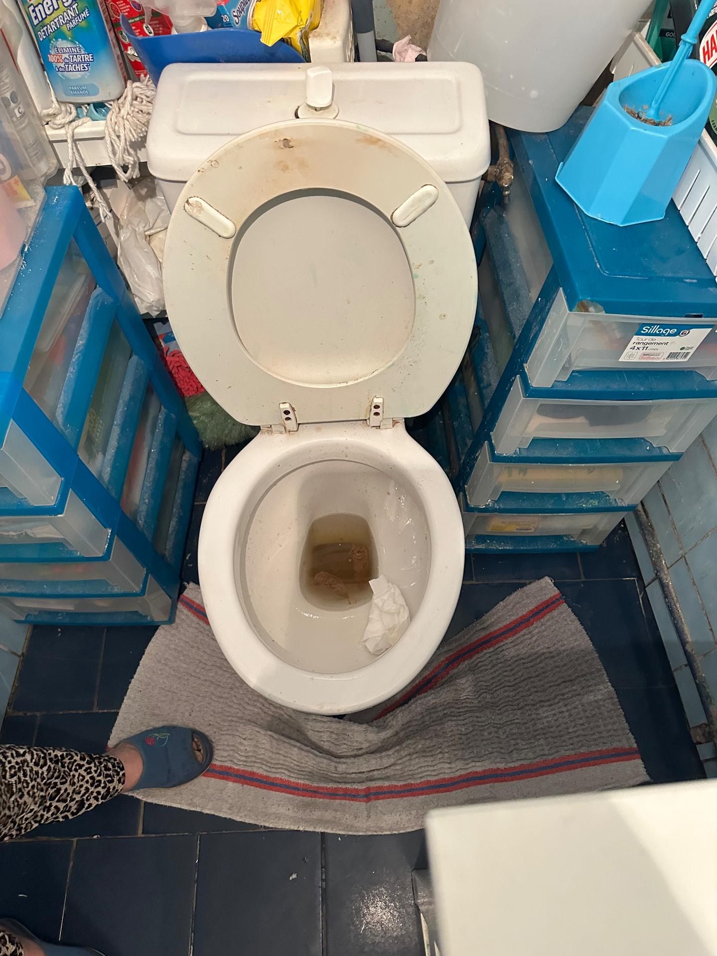 WC bouché dans des toilettes exiguës d'appartement parisien — Boulogne-Billancourt